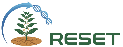 Ερευνητικό έργο RESET