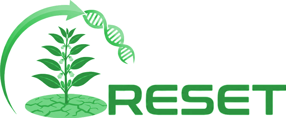 Ερευνητικό έργο RESET