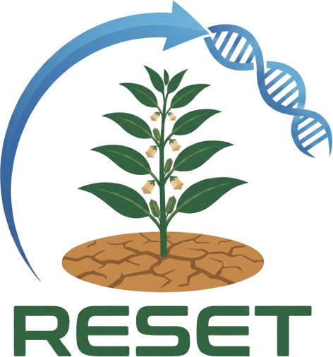 Ερευνητικό έργο RESET